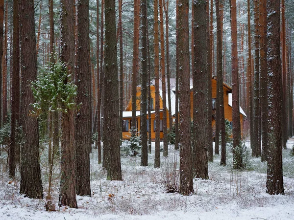 Красивый Деревянный Коттедж Зимнем Сосновом Лесу 2021 — стоковое фото