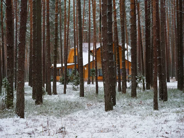 Hermosa Casa Campo Madera Bosque Pinos Invierno 2021 — Foto de Stock