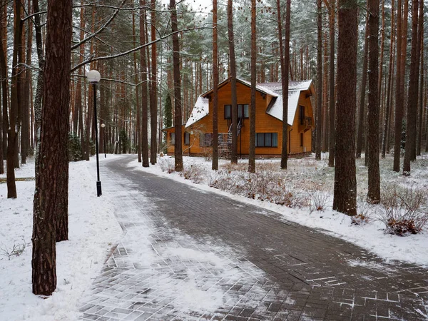 Schöne Hölzerne Landhaus Hütte Winter Kiefernwald 2021 — Stockfoto