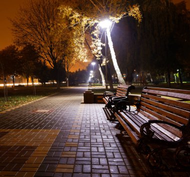 Akşam yürüyüşü şehir sokaklarında 22 Eylül 2015 Gomel, Belarus