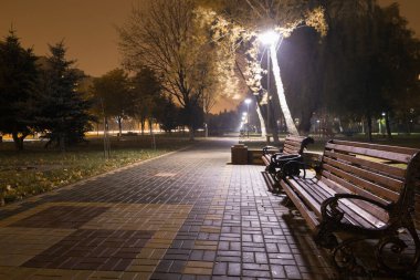 Akşam yürüyüşü şehir sokaklarında 22 Eylül 2015 Gomel, Belarus