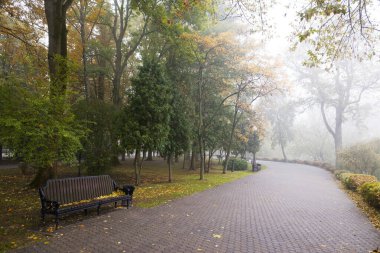 2021 yılının erken saatlerinde şehir parkında renkli sonbahar bankı