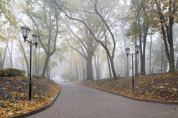 Colorido Outono Parque Cidade Início Nevoeiro 2021 — Fotografia de Stock