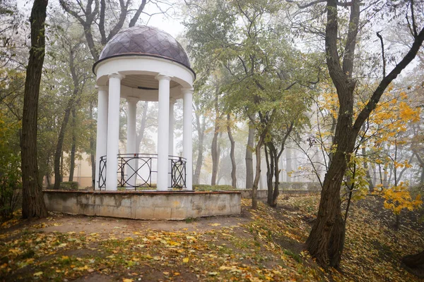 Colorato Parco Cittadino Autunnale Nella Prima Nebbia 2021 — Foto Stock