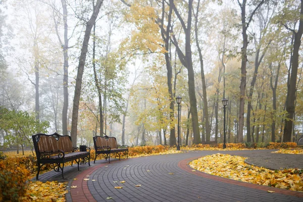 Banco Outono Colorido Parque Cidade Início Nevoeiro 2021 — Fotografia de Stock