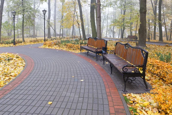 Banco Outono Colorido Parque Cidade Início Nevoeiro 2021 — Fotografia de Stock