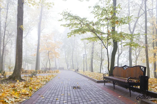 Πολύχρωμο Παγκάκι Φθινόπωρο Στο Πάρκο Της Πόλης Στις Αρχές Της — Φωτογραφία Αρχείου