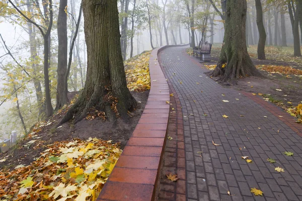 Kolorowa Jesienna Ławka Parku Miejskim Wczesnej Mgle 2021 — Zdjęcie stockowe