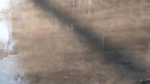 霜中温水上的蒸汽雾 — 图库视频影像