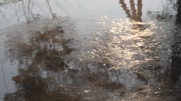 Mgła parowa nad ciepłą wodą w mrozie — Wideo stockowe