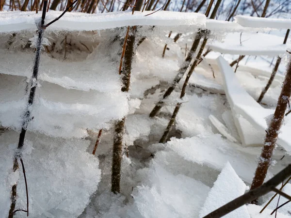 broken ice near the river bank in the cold. lower water levels break ice 2021