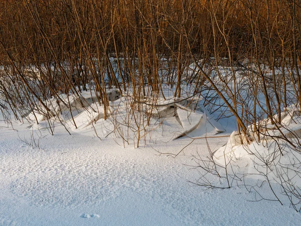 broken ice near the river bank in the cold. lower water levels break ice 2021