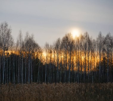 Bahar sabahı erken saatlerde. Göl hala kar altında