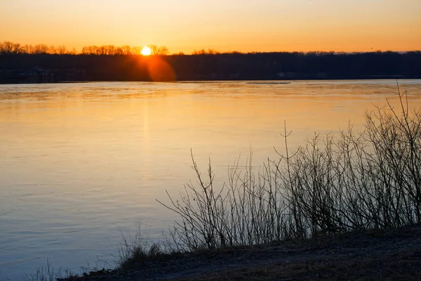 Beau Paysage Avec Vieux Saule Lever Soleil Rive Rivière — Photo