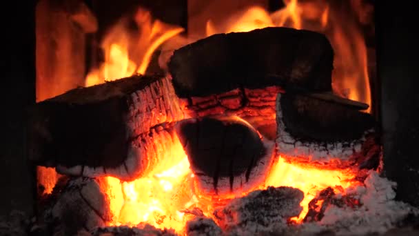 Leña Ardiendo Chimenea Del Horno Llama Roja — Vídeos de Stock