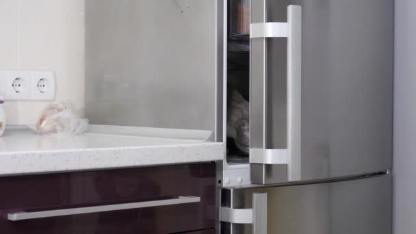 Красивая Светлая Кошка Выходит Холодильника — стоковое видео