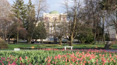 GOMEL, BELARUS - APRIL 19, 2021: green park in spring in Gomel 2021