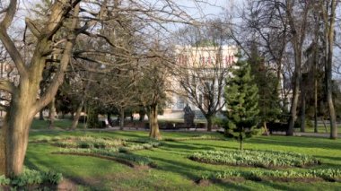 GOMEL, BELARUS - APRIL 19, 2021: green park in spring in Gomel 2021