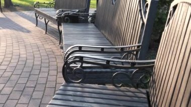 GOMEL, BELARUS - 19 Nisan 2021: İlkbaharda Gomel 'de yeşil park