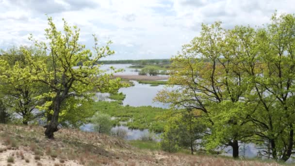 Jarní Krajina Louka Zaplavená Vodou Mladá Vegetace — Stock video