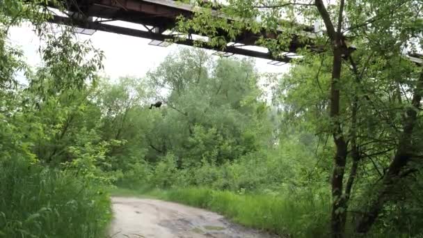 Mann Vollführt Gefährlichen Bungee Sprung Von Brücke — Stockvideo