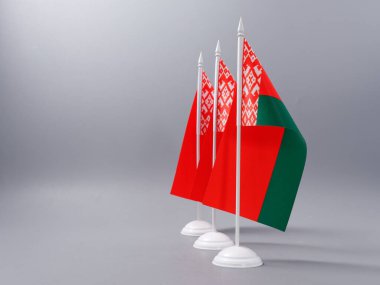 Beyaz Rusya bayrağının gri arkaplan 2021 'deki devlet sembolleri