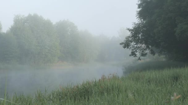 Beautiful Location Lake Morning Fog — 图库视频影像