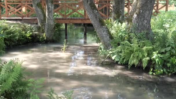 Foot bridge over a picturesque stream. SLAVGOROD, BELARUS — Stock Video