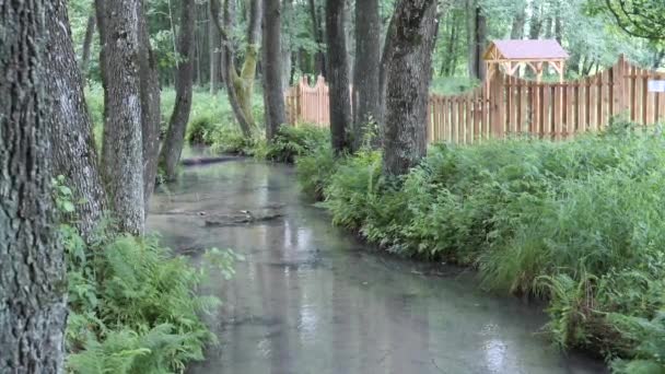 Puente a pie sobre un pintoresco arroyo. SLAVGOROD, BELARUS — Vídeos de Stock