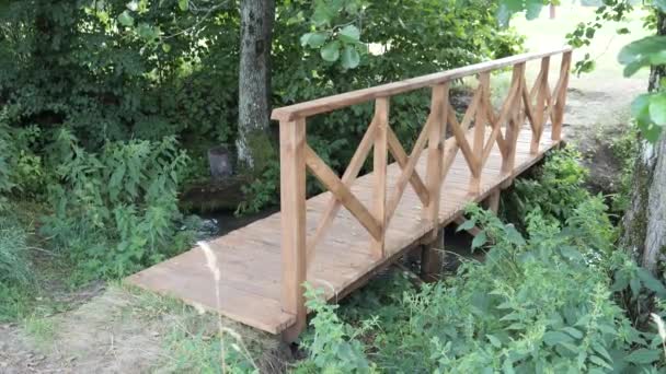 Foot bridge over a picturesque stream. SLAVGOROD, BELARUS — Stock Video