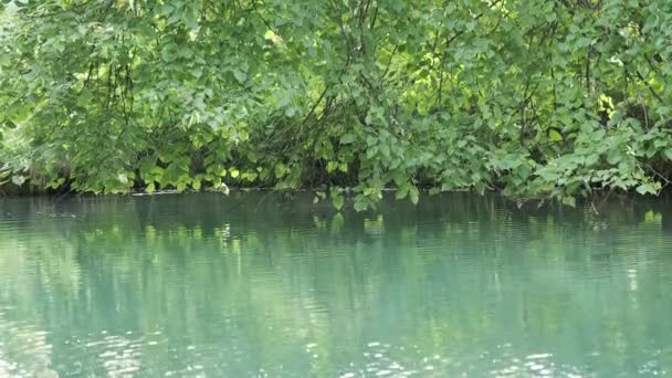 푸른 청록색 물 이 강변에 있는 성수 (聖水) 입니다. 신앙, 신앙 — 비디오