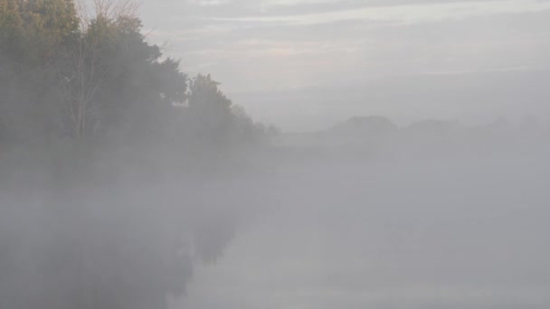 Ochtendmist Verspreidt Zich Het Gladde Water Van Rivier — Stockvideo