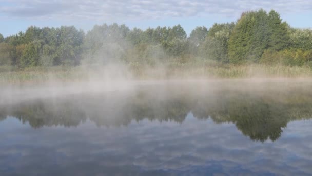 Ранковий Туман Поширюється Над Гладкою Водою Річки — стокове відео