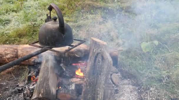 Memasak Dapur Lapangan Lezat Makanan Atas Api 2021 — Stok Video