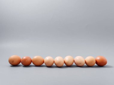 Tarım ürünleri tavuk yumurtası seçkinleri. Gri bir arka plan 2021.