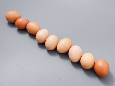 Tarım ürünleri tavuk yumurtası seçkinleri. Gri bir arka plan 2021.