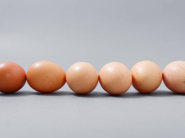 Tarım ürünleri tavuk yumurtası seçkinleri. Gri bir arka plan 2021.