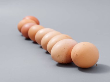 Tarım ürünleri tavuk yumurtası seçkinleri. Gri bir arka plan 2021.