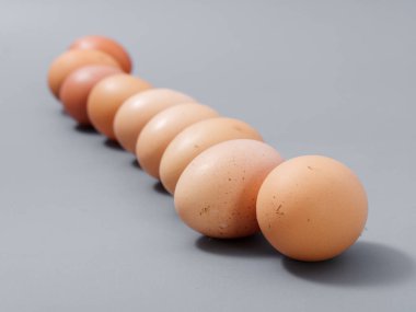 Tarım ürünleri tavuk yumurtası seçkinleri. Gri bir arka plan 2021.