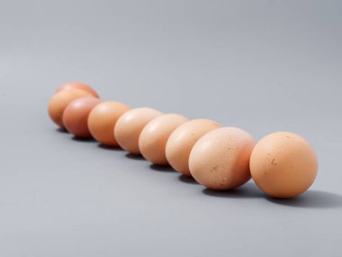 Tarım ürünleri tavuk yumurtası seçkinleri. Gri bir arka plan 2021.