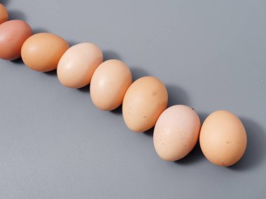 Tarım ürünleri tavuk yumurtası seçkinleri. Gri bir arka plan 2021.