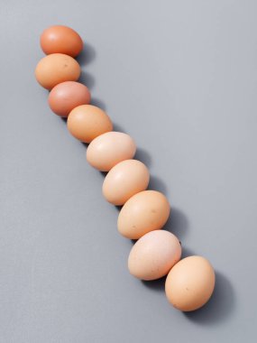 Tarım ürünleri tavuk yumurtası seçkinleri. Gri bir arka plan 2021.