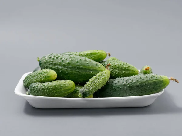 Productos Agrícolas Verde Pepino Espinoso Sobre Fondo Gris 2021 — Foto de Stock