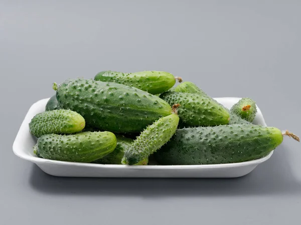 Productos Agrícolas Verde Pepino Espinoso Sobre Fondo Gris 2021 — Foto de Stock