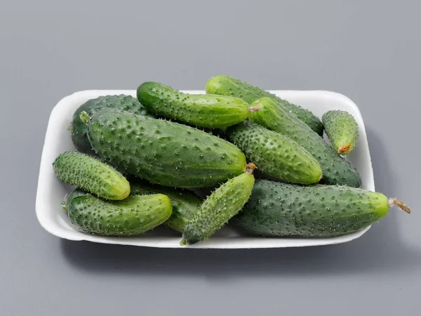 Productos Agrícolas Verde Pepino Espinoso Sobre Fondo Gris 2021 — Foto de Stock