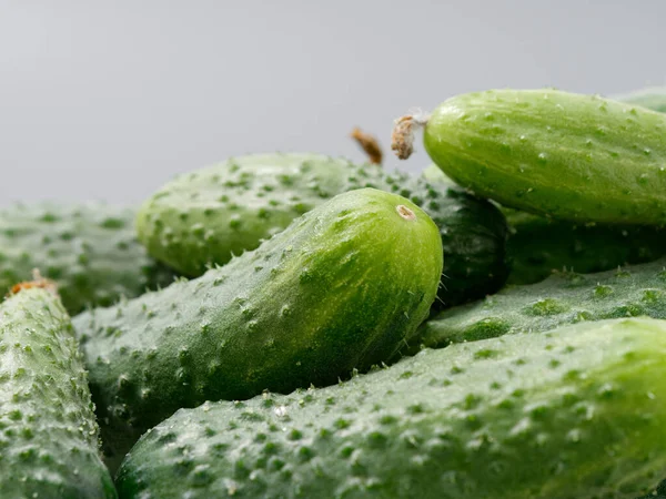 Productos Agrícolas Verde Pepino Espinoso Sobre Fondo Gris 2021 —  Fotos de Stock