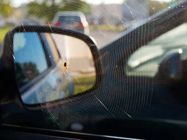 Aranha Uma Teia Carro Sol 2021 — Fotografia de Stock