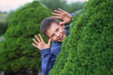 teen hiding in a beautiful green hedge 2021 clipart