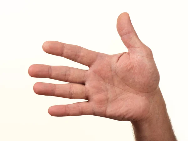 Male Hand Palm Palmistry Lines Fate 2021 — Stock Photo, Image