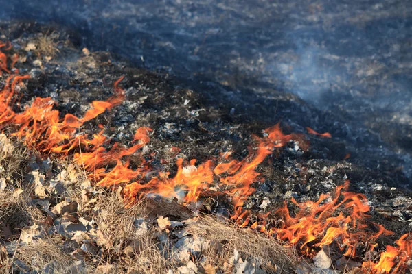 Band av brand — Stockfoto